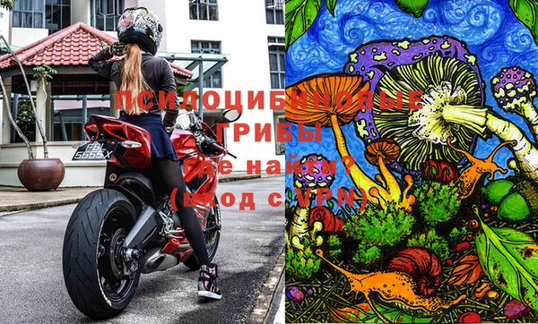 MDMA Premium VHQ Волоколамск
