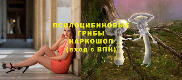 СК Пересвет