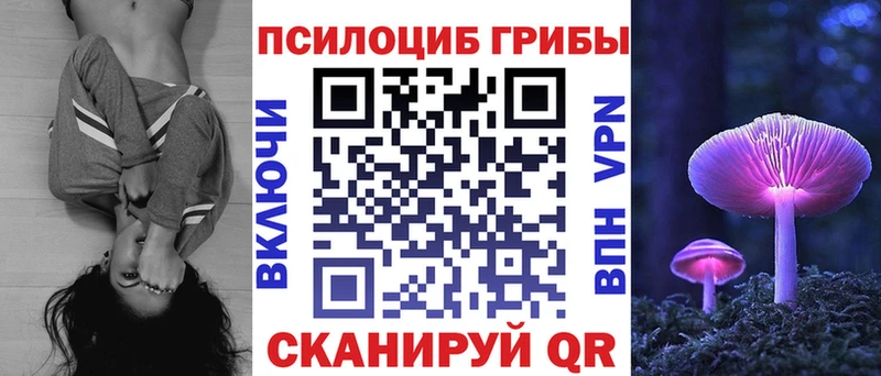 где купить   Зерноград  Псилоцибиновые грибы Magic Shrooms 
